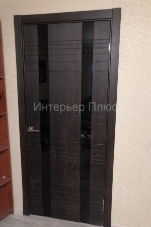 межкомнатная дверь с черным стеклом